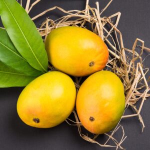 Alphonso Mango